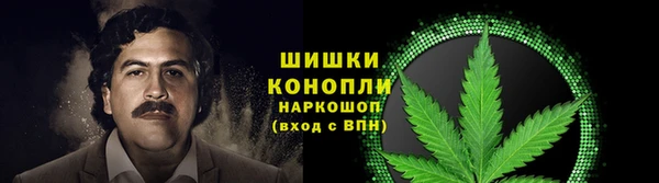 молекула духа Нязепетровск