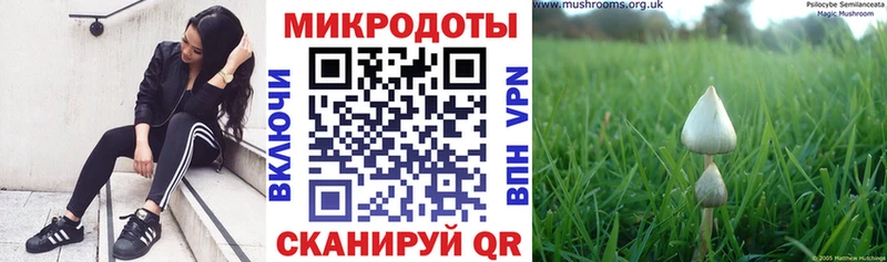 Галлюциногенные грибы Cubensis  mega сайт  Хилок 